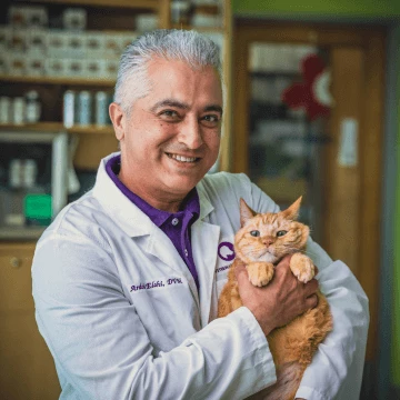 Dr. Elahi, B.V.Sc