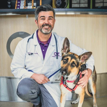Dr. Rodrigues, DVM